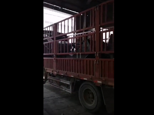 金屬破碎機1300型發貨視頻